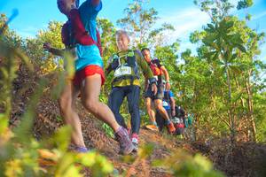 BIB: 295
                            <button type="button" onclick="openModal(21840013)" class="btn btn-primary btn-sm float-right btn-popup" data-toggle="modal" data-target=".modal-high-quality">
                        <i class="fas fa-shopping-cart"></i> Add to Cart
                    </button>
                                            <button type="button" onclick="isThisMe(21840013, true)" class="btn btn-success btn-sm float-right btn-popup btn-isme hidden" data-toggle="tooltip" data-placement="bottom" title="นี่คือรูปของคุณใช่ไหม คลิกที่นี่เพื่อเอาเข้าอัลบั้ม">
                        <i class="fas fa-plus"></i> Add to album
                    </button>
                    <button type="button" onclick="isThisMe(21840013, false)" class="btn btn-warning btn-sm float-right btn-popup btn-isnotme hidden">
                        <i class="fas fa-ban"></i> Remove from album
                    </button>